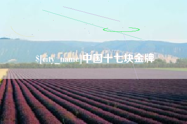 武穴中国十七块金牌