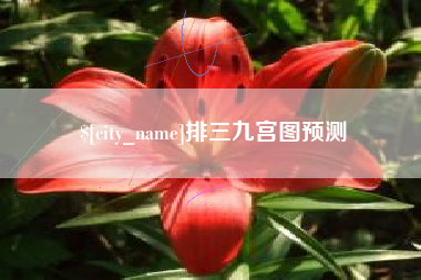 武穴排三九宫图预测