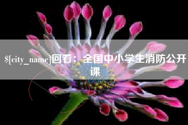 武穴回看：全国中小学生消防公开课