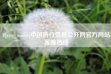 武穴中国执行信息公开网官方网站客服热线