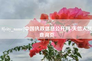 武穴中国执政信息公开网-失信人员查询页