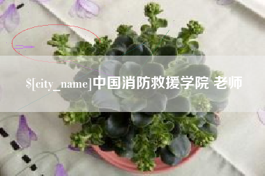 武穴中国消防救援学院 老师