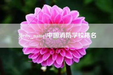 武穴中国消防学校排名