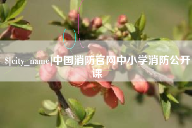 武穴中国消防官网中小学消防公开课