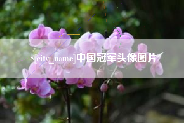 武穴中国冠军头像图片