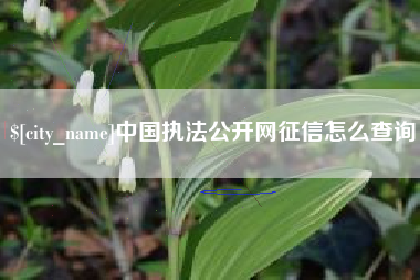 武穴中国执法公开网征信怎么查询