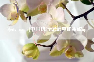 武穴中国执行记录查询系统app