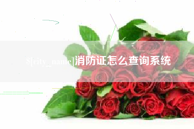 武穴消防证怎么查询系统