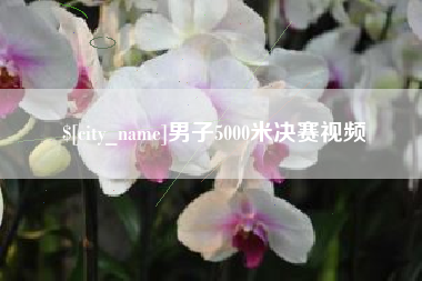 武穴男子5000米决赛视频
