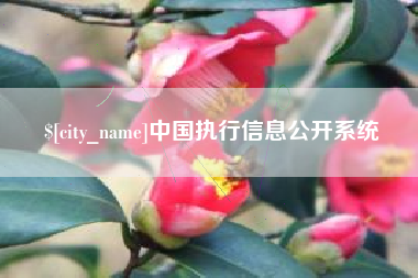 武穴中国执行信息公开系统