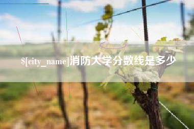 武穴消防大学分数线是多少