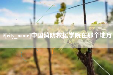 武穴中国消防救援学院在那个地方