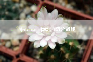 武穴2021消防分数线