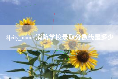 武穴消防学校录取分数线是多少