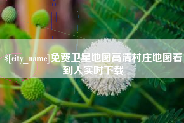 武穴免费卫星地图高清村庄地图看到人实时下载