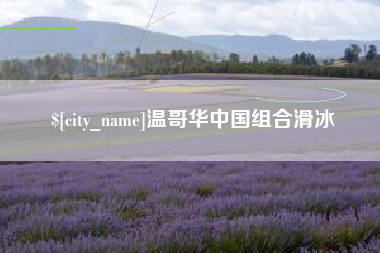 武穴温哥华中国组合滑冰