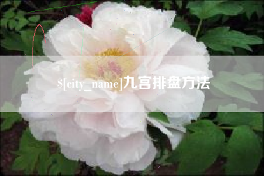 武穴九宫排盘方法
