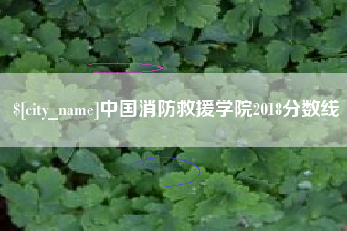 武穴中国消防救援学院2018分数线