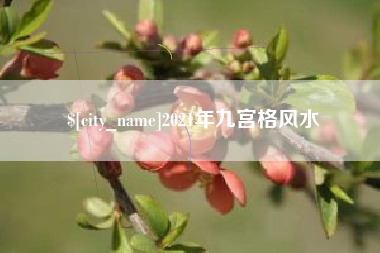 武穴2021年九宫格风水