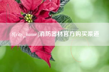 武穴消防器材官方购买渠道