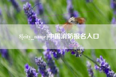 武穴中国消防报名入口