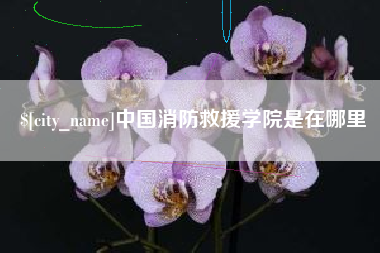 武穴中国消防救援学院是在哪里