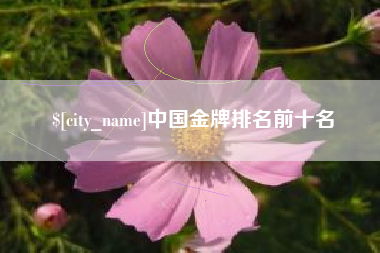 武穴中国金牌排名前十名