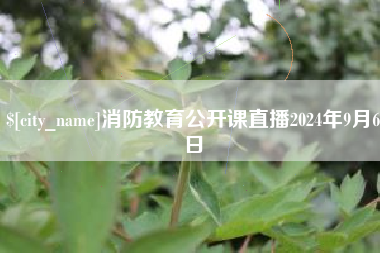 武穴消防教育公开课直播2024年9月6日