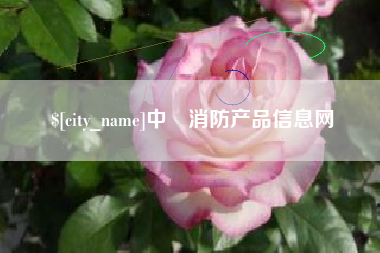 武穴中囯消防产品信息网