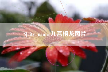 武穴九宫格龙图片