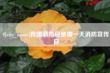 武穴我国消防日是哪一天消防宣传日
