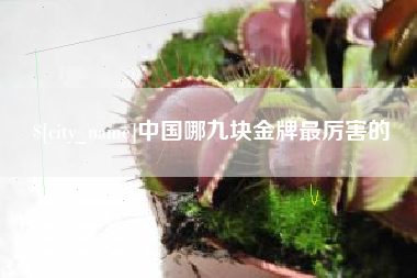 武穴中国哪九块金牌最厉害的