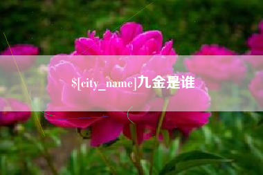 武穴九金是谁