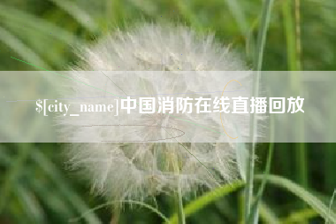 武穴中国消防在线直播回放