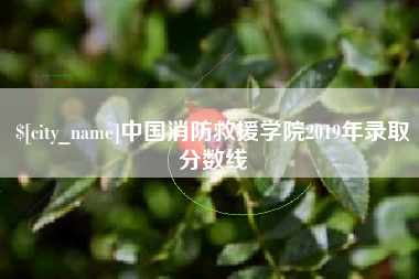 武穴中国消防救援学院2019年录取分数线