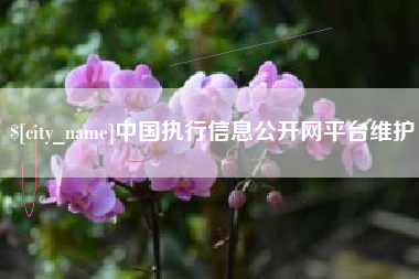 武穴中国执行信息公开网平台维护