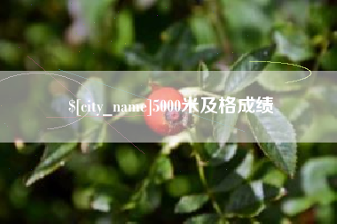 武穴5000米及格成绩