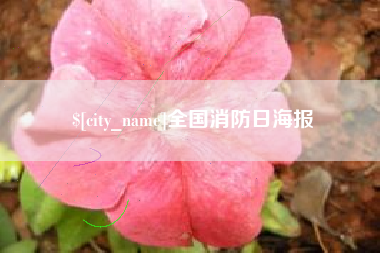 武穴全国消防日海报
