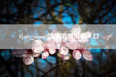 武穴国家消防报名入口