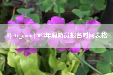 武穴2025年消防员报名时间表格