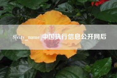 武穴中国执行信息公开网后