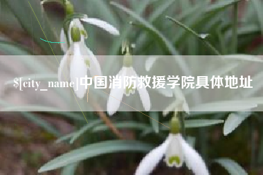 武穴中国消防救援学院具体地址