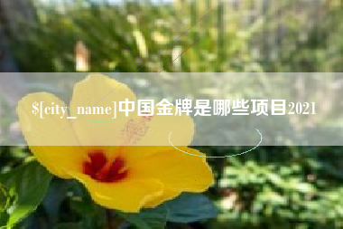 武穴中国金牌是哪些项目2021