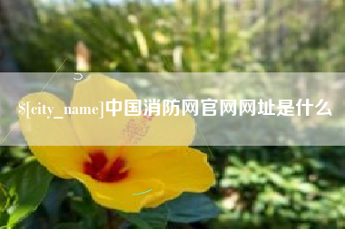 武穴中国消防网官网网址是什么