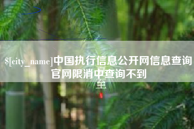 武穴中国执行信息公开网信息查询官网限消中查询不到