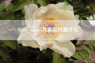 武穴九金指的是什么