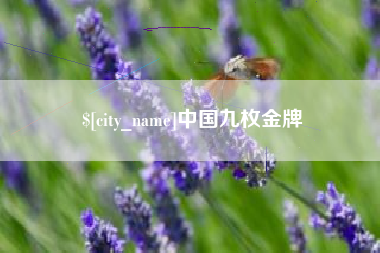 武穴中国九枚金牌