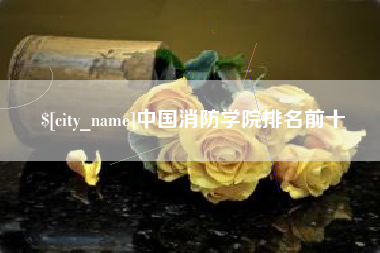武穴中国消防学院排名前十
