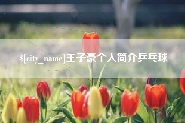 武穴王子豪个人简介乒乓球