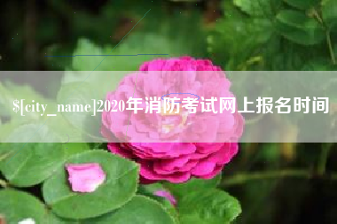 武穴2020年消防考试网上报名时间